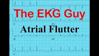 EKG/ECG - Atrial Flutter | The EKG Guy - www.EKG.md