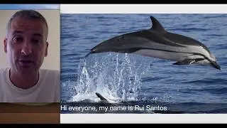 CETACEAN PHOTO IDENTIFICATION