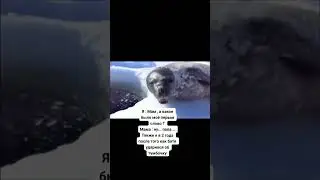 Мое первое слово