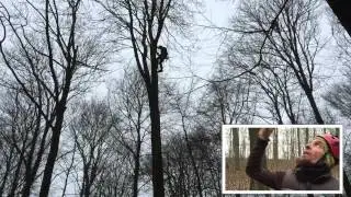 Baumkletterer in 35 Metern Höhe in Horstmar