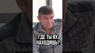 Истории из жизни: 
