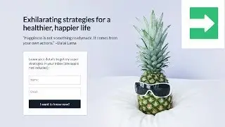 How to design a custom landing page from a template (Pagewiz)