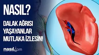 İşte Dalak Ağrısı ve Rahatsızlıklarının En Önemli Psikolojik Nedenleri! 