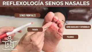 REFLEXOLOGÍA PODAL 🦶 del SISTEMA RESPIRATORIO | Puntos para ELIMINAR la SINUSITIS 👃
