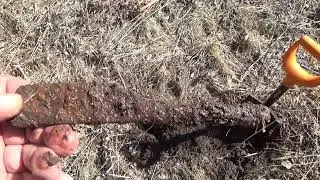I found the gold mine! #2