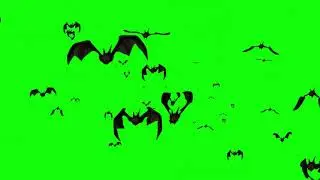 Bats green screen effect, Bats flying green screen transitions #chromakey