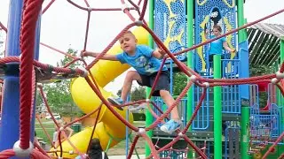 Stuck In A Spider Web 05.31.16