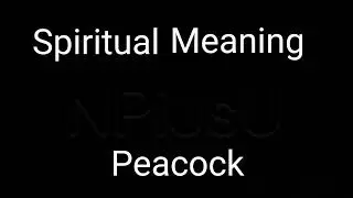 The Spiritual Meaning of Peacock