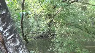 Домашний воин, дополнение к ролику Домовой семейный агрегор.