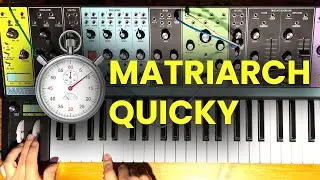 Matriarch Quicky: Parallel Wet/Dry Filter Patch