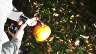 Blowing up pumpkin with cobra 8