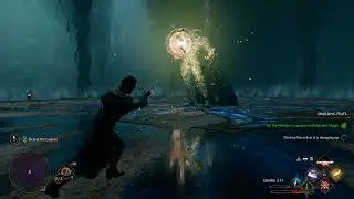 pensive guardian fight - Hogwarts legacy