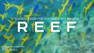Reef - Sound Design for Documentary Makers