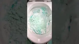 🚽 Toilet Overload pt.2! 🚽