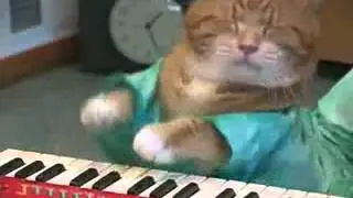тудудуд