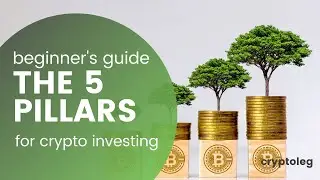 5 pillars of Crypto Investing - Beginner's Guide - 2021