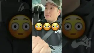 Is the Cheapest Tesla Any Good??
