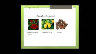 Terpenoids