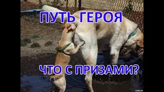 Путь героя Апрель 2023 в изюме.  Сравнение с Мартом 2023. Хроники хаоса Мобильная 