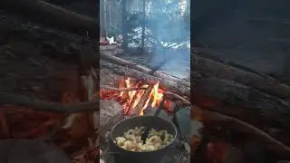Время обеда