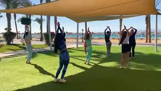 Mesayatara | Egypt | Belly Dance | Sheikh Ali Dance School