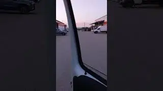 Когда приехал утром #грузоперевозки #газелисты #дальнобойщики #лето #собака #утро
