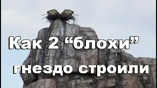 СтопРак. Волшебные позиции WoT от Е-25