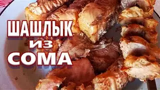 ШАШЛЫК ИЗ СОМА !  Попробуйте ! Это супер вкусно !