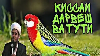 ДОМУЛЛО АБДУРАХИМ - КИССАИ ДАРВЕШ ВА ТУТИ