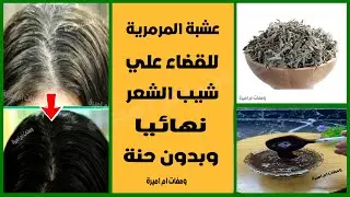#عشبة المرمرية🌿للقضاء علي👈شيب الشعر👈نهائيا 👈وبدون حنة