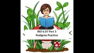BIO 6.07 Pedigrees Part 3