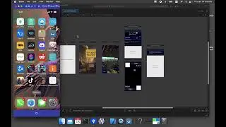 Intro to the Project pt1
