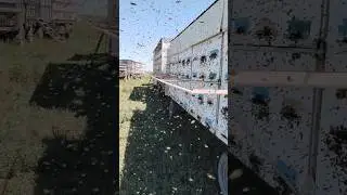 облёт после 4 дней непогоды