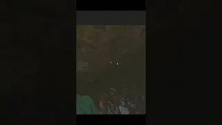 my own teammate boinked me