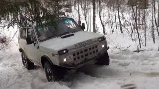 Тест машин, броды, лоси...