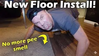 Finally Getting Carpet To Laminate Flooring!  No More Odor!