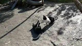 осенний пейзаж