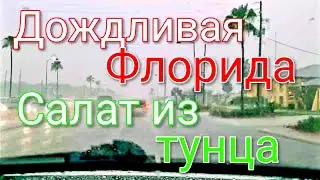 ПОГОДА ВО ФЛОРИДЕ❤СЕЗОН ДОЖДЕЙ❤САЛАТ ИЗ ТУНЦА- TUNA SALAD (389)