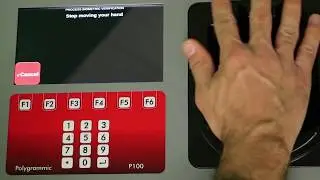 Polygrammic P 100