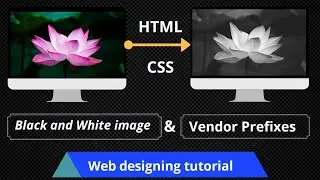how to create black and white image using html and css  || vendor prefixes