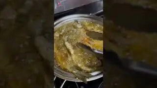 Trouts Fish in Alaska