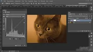 Adobe Photoshop для дизайнера-верстальщика. Цветокоррекция. (Оксана Решетнёва, Creativshik)