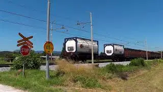 50+ freight and passenger trains.