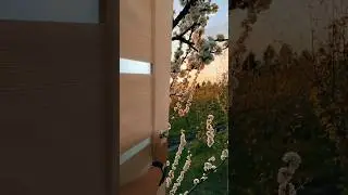 Как сделать такой эффект 🥳 