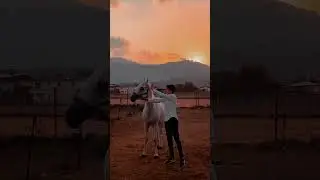 Bu yıl neler başardınız