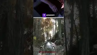 Solo Hunter Under Pressure From Trio! 