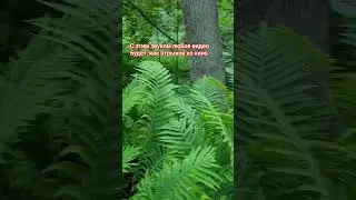 #cool #sound #soundtrack #hit #trending #trend #trendingshorts #trendingvideo