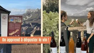 Œnotourisme - Une plongée au cœur des terroirs : découvertes des territoires, dégustations et sav...