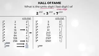 Mathematics Graph & Equation Video 2