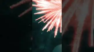 Lights AMV